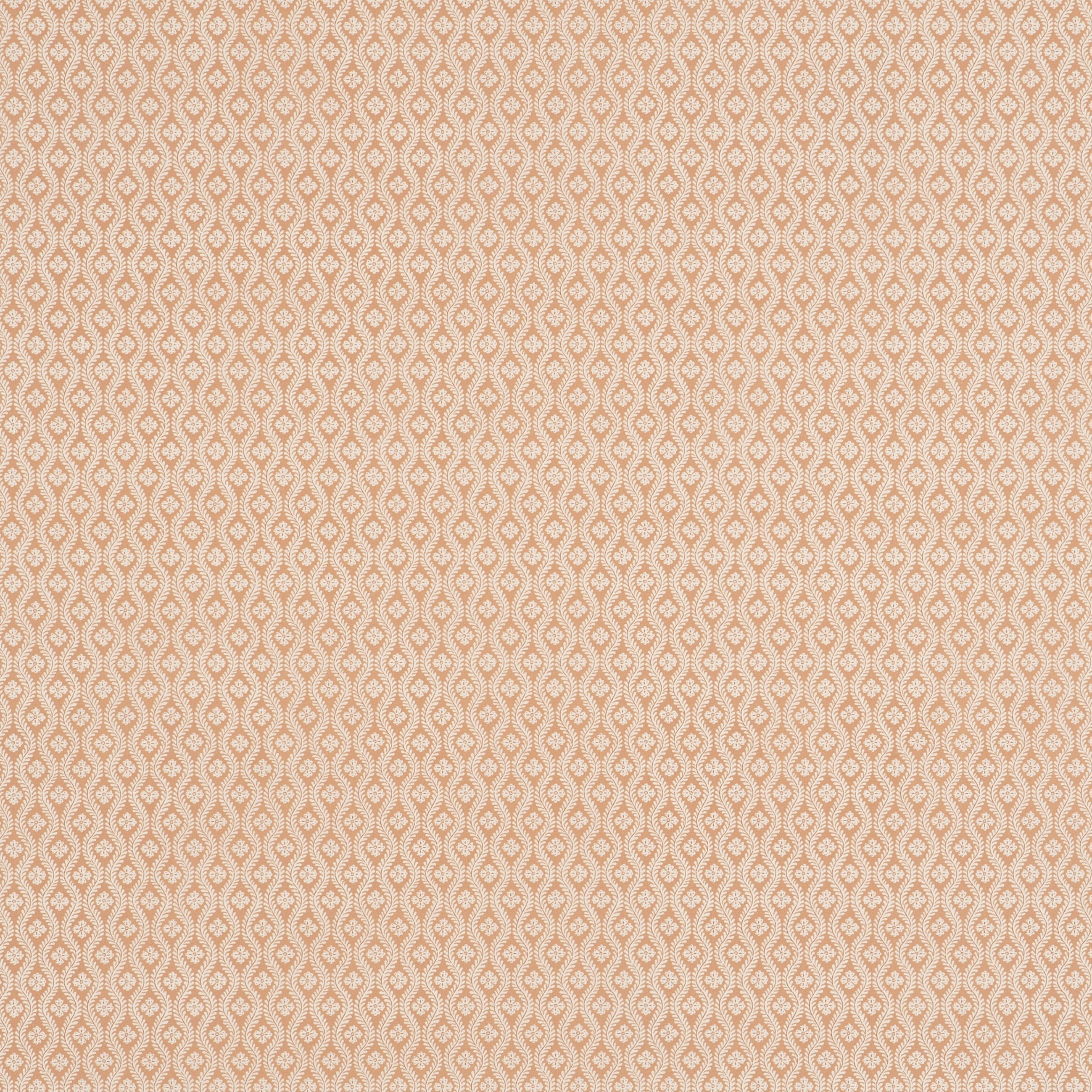 #color_sophia-ROSE_POUDRE