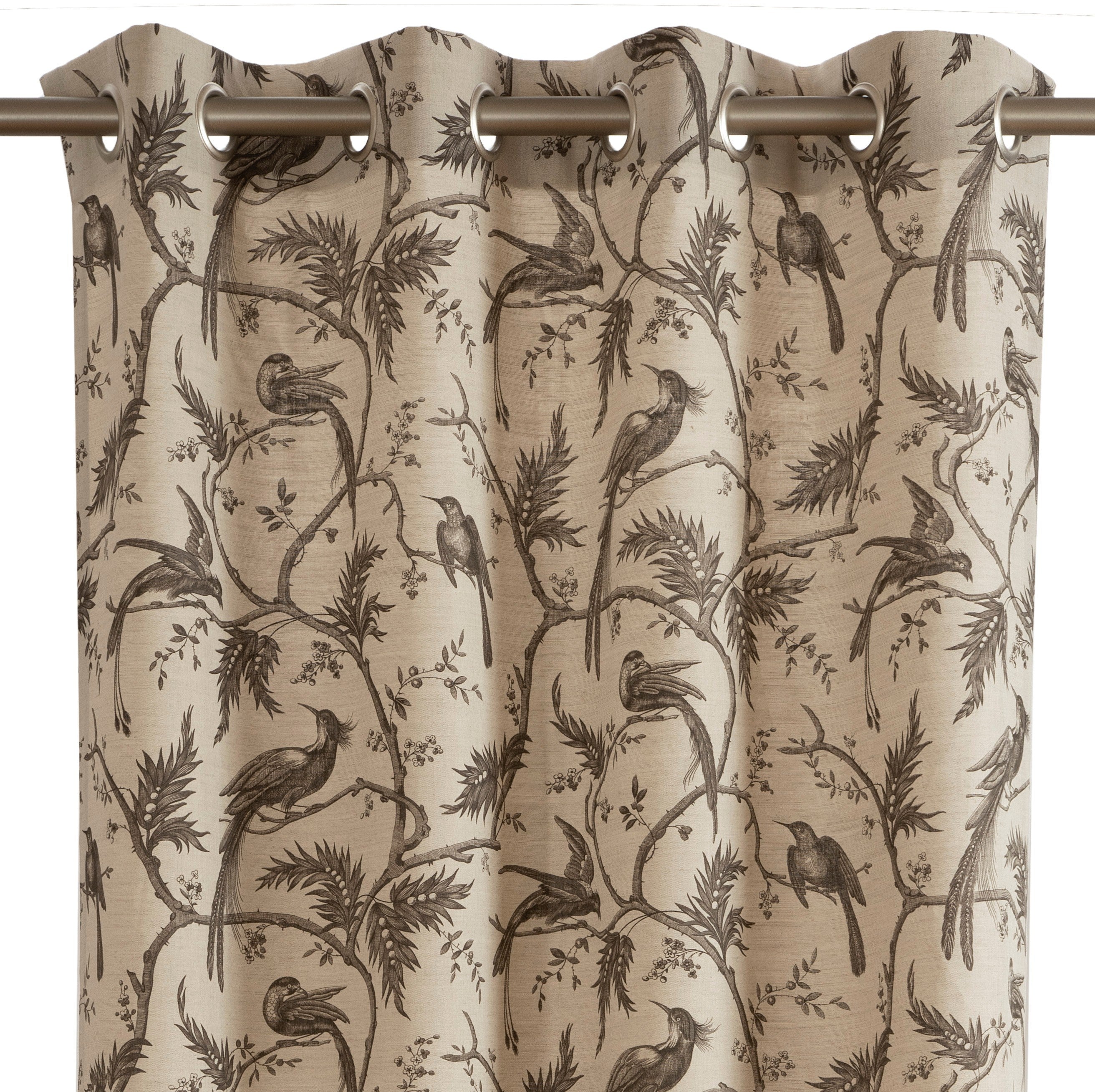 rideaux-oeillets-marron-paradise-coton-rp724